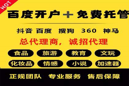 专业SEM托管：成功提升广告效果的案例分析