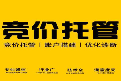 突破瓶颈：托管竞价SEM实战案例分析